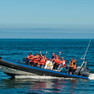 Adventure 1 RIB Private Charter